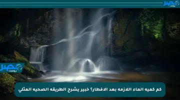 كم كمية الماء اللازمة بعد الإفطار؟ خبير يشرح الطريقة الصحية المثلى